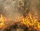 Focos de incêndio no Pantanal estão sob investigação da PF, diz Marina