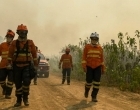 Pantanal: força-tarefa segue ativa para prevenir e combater incêndios