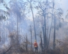 Combate aos incêndios no Pantanal tem reforço com equipes de bombeiros