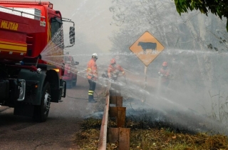 (Divulgação)