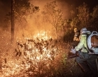 Brasil teve 11,39 milhões de hectares atingidos pelo fogo este ano