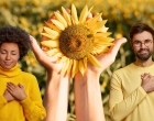 Setembro Amarelo: Assembleia promove palestra sobre saúde mental