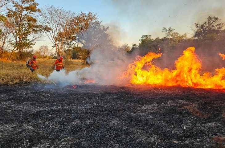 Pantanal de MS tem quatro focos de incêndios ativos e trabalho de combate