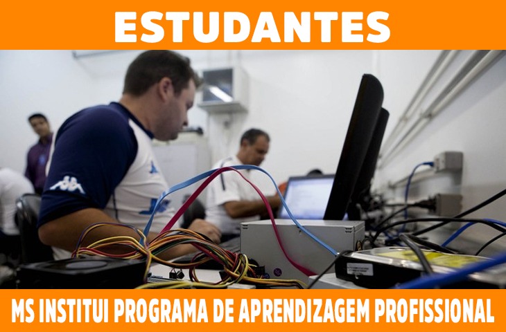 MS institui Programa de Aprendizagem Profissional para Estudantes 